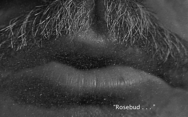 Citizen Kane moustache