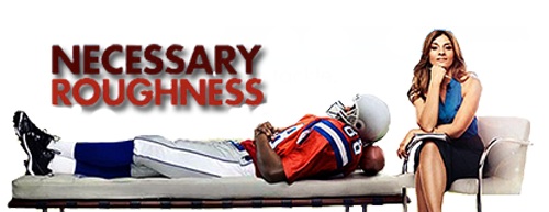 Craig Shapiro & Elizabeth Kruger's Necessary Roughness