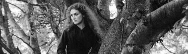 The French Lieutenant’s Woman film