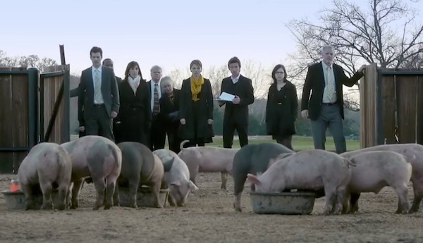 Upstream Color