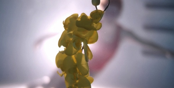 Upstream Color