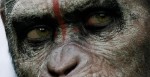 From Rise to Dawn of the Planet of the Apes
