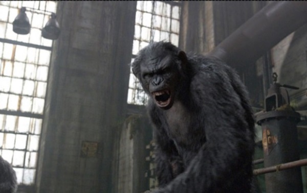 Toby Kebell as Koba in Dawn of the planet of the apes