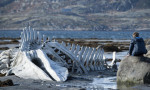Leviathan: The Last American Hero