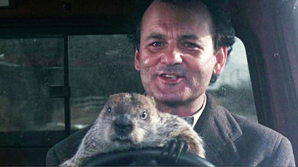 Bill Murray as Phil in Groundhog Day