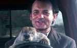 Groundhog Day: Streamlining the Story