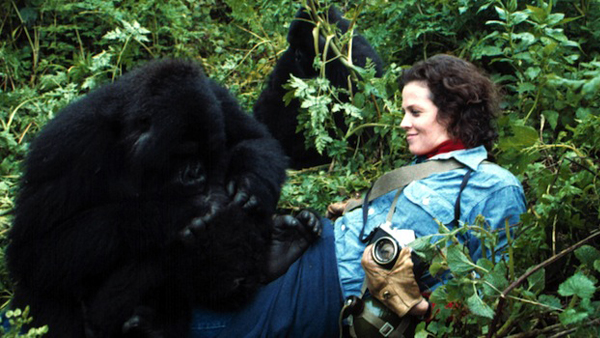 Sigourney Weaver as Dian Fossey in Gorillas in the Mist