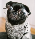 Making Intelligent Choices In Your Screenwriter Career