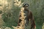 “Cora Is Determined To Live A Life Of Freedom” Jihan Crowther On ‘The Underground Railroad’