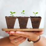 How Screenwriters Should Approach Character Arcs & Growth