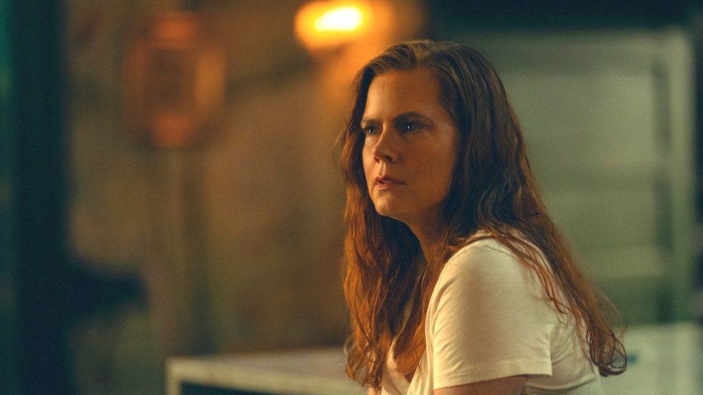 Amy Adams plays Anna Bowden in Cape Fear